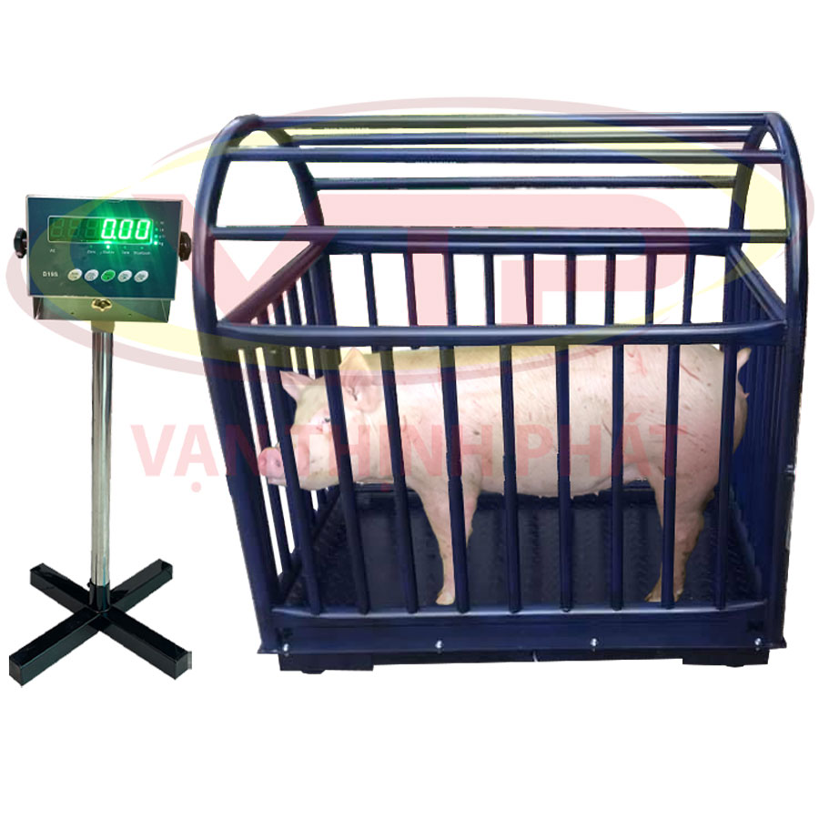 Cân-Lông-Heo-Điện-Tử-B19S-Vạn-Thịnh-Phát